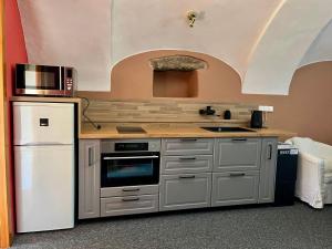 a kitchen with a white refrigerator and a microwave at Statek Smilov in Havlíčkŭv Brod