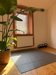a room with a potted plant and a rug at Holistic Home Ökologisch-Biologisch-Philosophisch in Höhr-Grenzhausen
