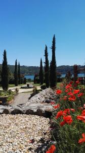 a garden with red flowers and rocks and trees at Agriturismo Le Grotte in Nemi