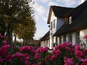 een huis met roze bloemen ervoor bij Haus Petje in Keitum
