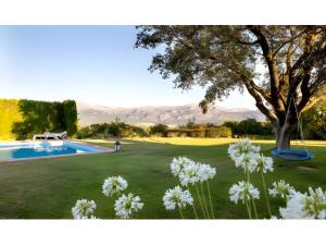 Bazén v ubytování Buddha-Can nebo v jeho okolí