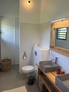 un bagno con un lavandino e un water al suo interno di SALTY LODGE Villa 3 chambres piscine BORA - Pointe Faula a Le Vauclin Altre 4 foto
