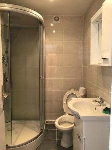 a bathroom with a shower and a toilet and a sink at Private apartment in Herceg Novi in Španjola +9 photos