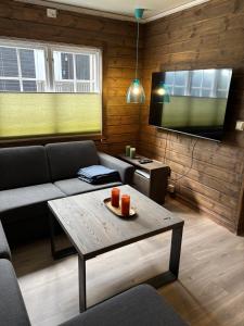 Una sala de estar con un sofá y una mesa de café. en Oppdal Alpintun, en Oppdal