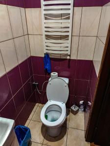 a bathroom with a toilet and a sink at Willa Mortęgi in Lubawa +17 photos
