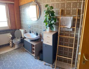 a bathroom with a sink and a toilet and a mirror at Schwarzwald Apartments III in Lenzkirch +32 photos
