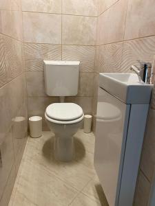 a bathroom with a toilet and a sink at Bella Z Apartman in Kaposvár