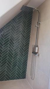 a shower in a bathroom with a green tiled wall at Villa Carmen in Touques +9 photos