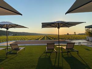 Foto dalla galleria di Casa Mulino - where the vineyards meet the sea a Sečovlje