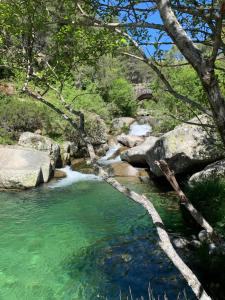 un arroyo de agua con rocas y árboles en Casa Real, en El Arenal