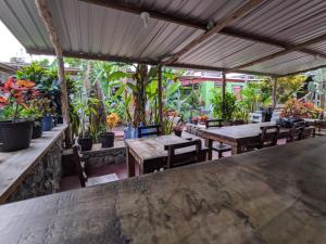 un patio extérieur avec des tables, des chaises et des plantes en pot dans l'établissement Galapagos Morning Glory, à Puerto Ayora