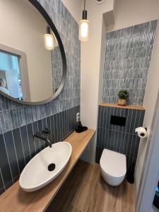 a bathroom with a sink and a toilet and a mirror at Villa Alcmaria - Aura Kaszub in Łączyno +12 photos