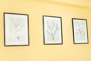 three framed prints of flowers on a wall at Lovely Fiuggi Apartment - near the Thermal Baths in Fiuggi