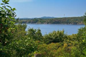 a view of a large lake with trees and mountains at Elegant Escape, Modern Luxe in Historic Suite in Saint John