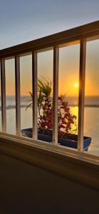a view of a sunset from a balcony with a plant at Nour 1 Sea View Apartment in Alexandria