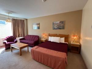 a hotel room with a bed and a purple chair at Western Budget Motel Ponoka in Ponoka