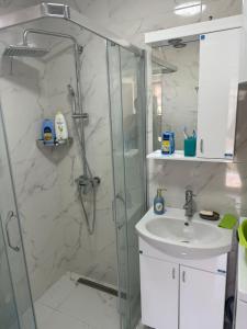 a bathroom with a shower and a sink at Dolina Ruža in Bogutovac +20 photos