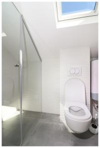a white bathroom with a toilet and a shower at House Gambin in Primošten +27 photos