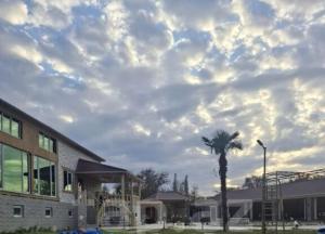 Un cielo nublado con una palmera frente a un edificio. en Melek villa, en Gabala