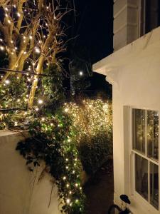 a garden with christmas lights next to a house at NEW Sleek and Stunning 1 Bedroom Flat Hampstead in London