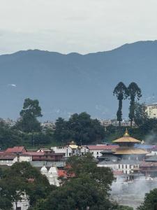 a city with buildings and trees and a mountain at Hotel JS Pashupati in Kathmandu