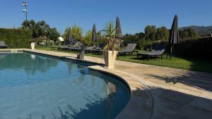 a swimming pool with a potted plant in a yard at Casa d'Amares in Amares
