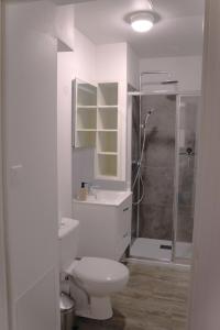 a white bathroom with a toilet and a shower at L'écho de Saint-Michel - Dijon in Dijon