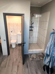 a bathroom with a toilet and a shower at Buļļi atpūtas vieta in Gūžas