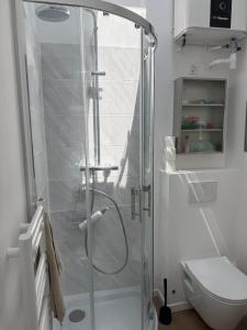 a shower with a glass door in a bathroom at Dépendance près de Fontainebleau in Vulaines-sur-Seine +11 photos