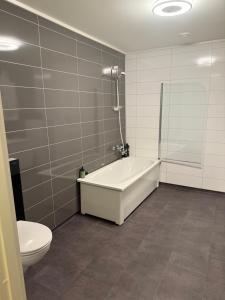 a bathroom with a bath tub and a toilet at Modern house at Senja in Silsand