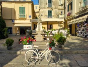 Budova, kde se bed and breakfast nachází + 30 fotografií