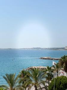 カーニュ・シュル・メールにあるStudio en bord de mer Cagnes-sur-mer avec Parkingのヤシの木と大量の水が流れる海岸 +4枚の写真