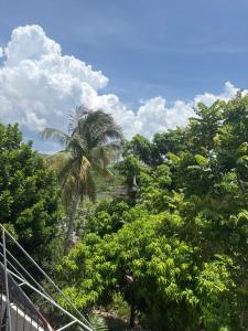 a view of a jungle with a palm tree at Penthouse villa in Montego Bay