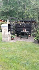 a patio with a picnic table and a fireplace at Ferienhausidylle mit Motorboot am See in Basedow