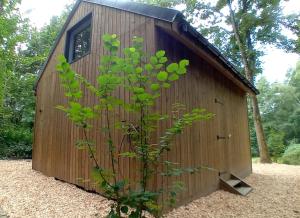 a small plant in front of a wooden shed at La Cabane du Gardien in Marche-en-Famenne +13 photos