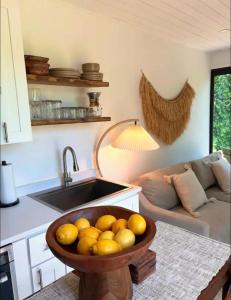 a bowl of oranges in a kitchen with a sink at Zen Container Tiny Home with Fenced-in Yard, Fire Pit, Centrally located and Pet Friendly in Fort Myers