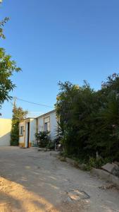 a house with a driveway next to a building at Tenda campismo 47 A Retiro dos sonhos in Lagoa