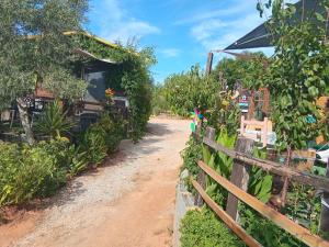 a dirt road in front of a house with a fence at Tenda campismo 47 A Retiro dos sonhos in Lagoa