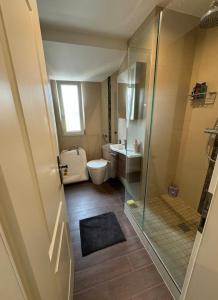 a bathroom with a shower and a toilet and a sink at Tolle Wohnung mit Seeblick! in Rorschach +11 photos