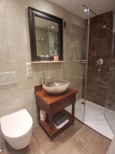 a bathroom with a sink and a toilet and a shower at Die schlafende Goass in Bischofswiesen