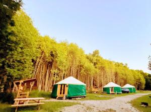 a group of tents in a field with trees at Star-Lake Yurt Sanctuary Waterview in Red Bay