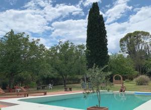 a swimming pool with a large tree in a park at Casita de campo La Añurita in San Javier