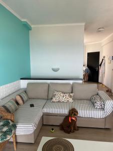 a couch in a living room with a teddy bear at Sunset View Maisonette, Kanali in Néa Thésis +22 photos