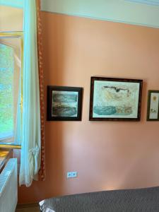 Fotografie z fotogalerie ubytování Hotel *** Plauter Kúria v Veľkém Mederu