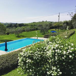 a swimming pool in a garden with white flowers at Podere Casanova in Montespertoli