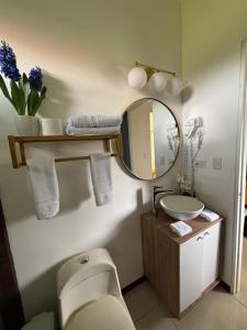 a bathroom with a toilet and a sink and a mirror at Suite Palm in Palma