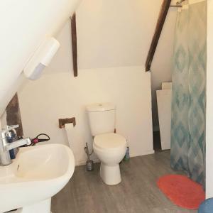 a bathroom with a white toilet and a sink at Habiteca Acentto B&B in Viña del Mar +31 photos