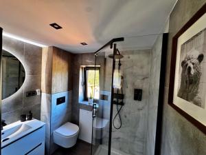 a bathroom with a shower and a toilet and a sink at Bajkowo Domki in Wola Matiaszowa