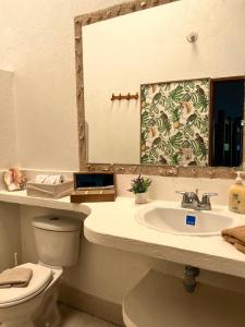 a bathroom with a toilet and a sink and a mirror at Casa Majanicho - Naturaleza - Mar - Parrilla - AC in Rincón +9 photos
