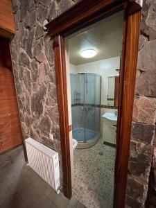 a bathroom with a shower and a toilet and a sink at Villa Fox Bakuriani in Bakuriani
